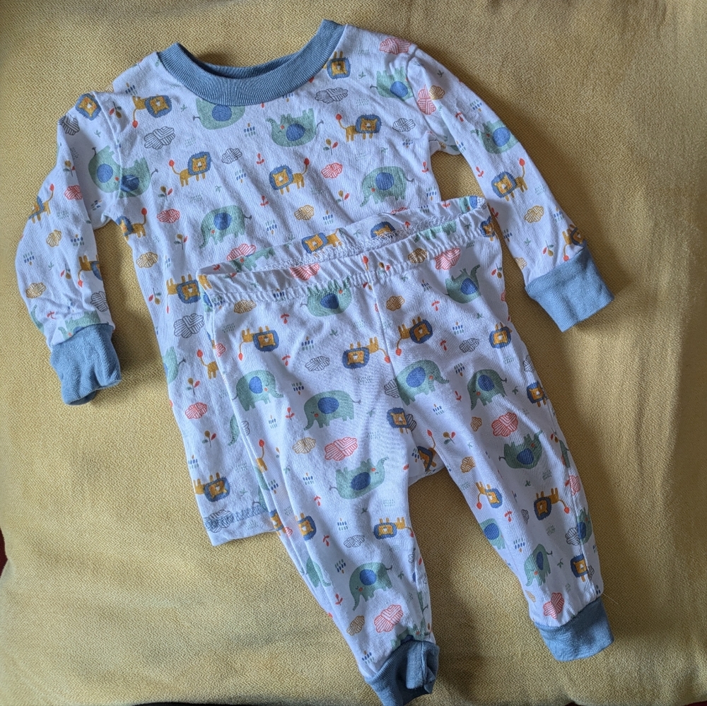 Swiggles Multicolor Elephant & Lion Print Kids Long Sleeve Set